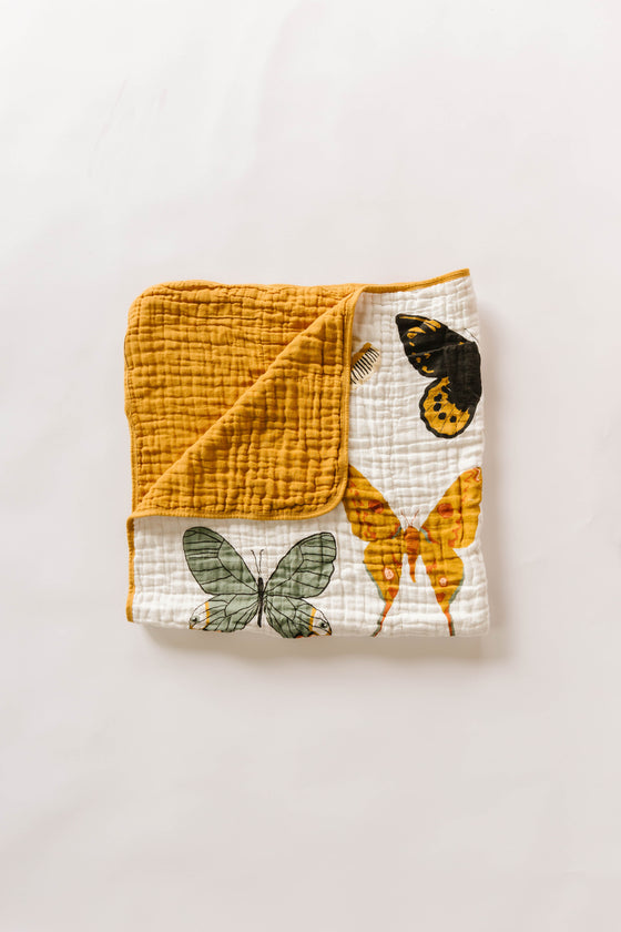Butterfly Essential Bundle