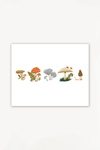 Mushroom Lineup Art
