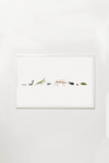Bug Parade Art