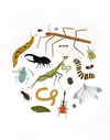 Cutie Crawly Roundup Art