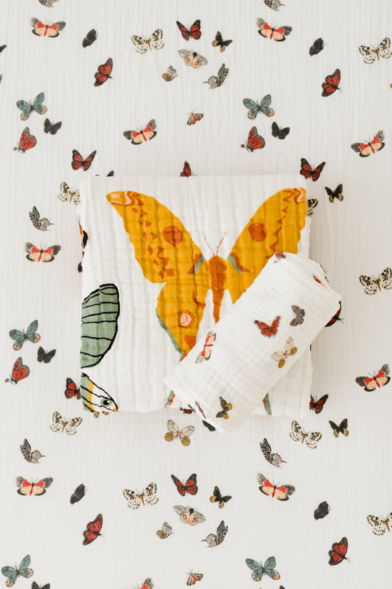 Butterfly Essential Bundle