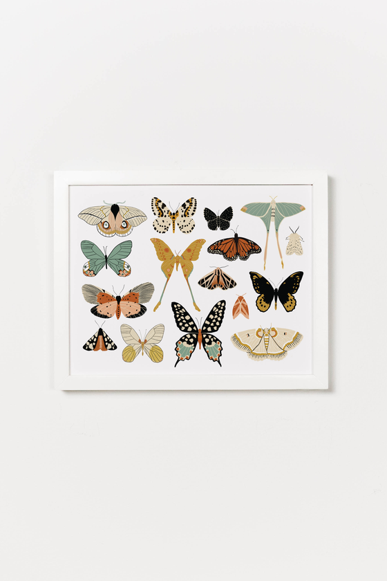 Butterfly Collector Art