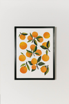 Fresh Clementines Art