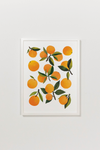 Fresh Clementines Art