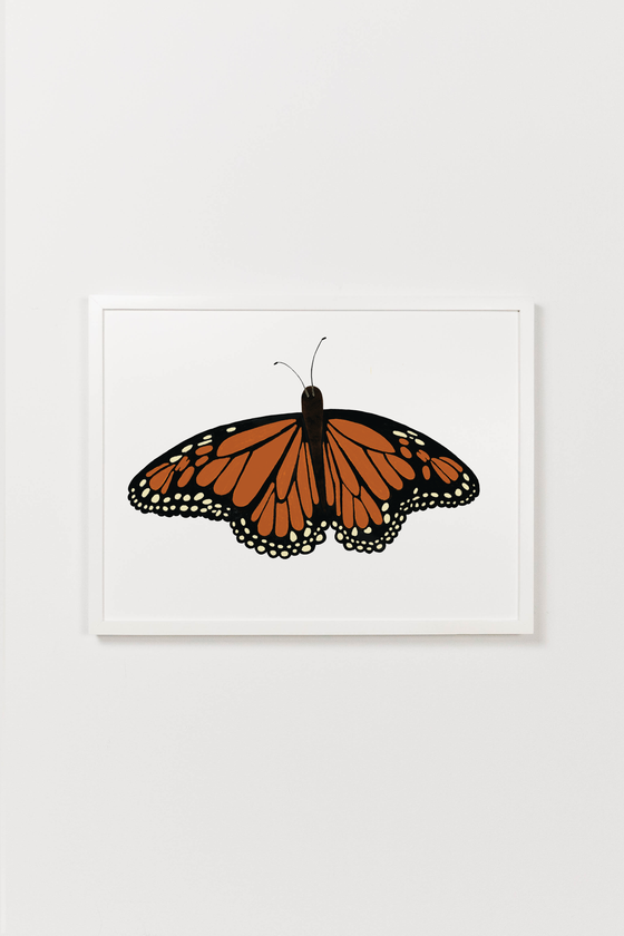 Monarch butterfly drawing