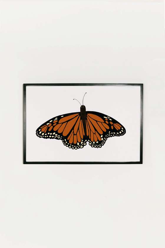 Monarch Butterfly Art