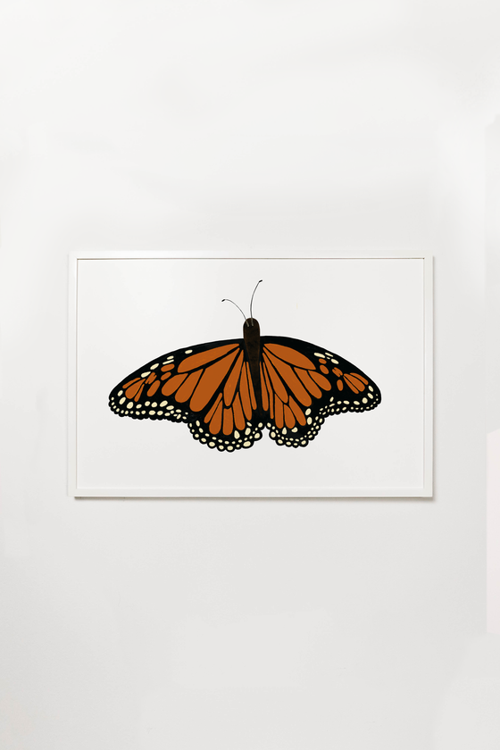 Monarch Butterfly Drawing png download - 761*720 - Free Transparent  Butterfly png Download. - CleanPNG / KissPNG